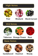 Ajwaa Concentrated- Nusuk