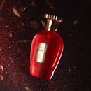 Voux Spices - Emir (Dupe af Xerjoff - Ivory Route)